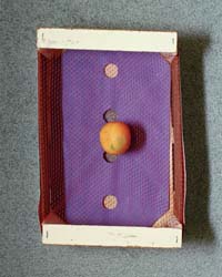 Orange on a Basket